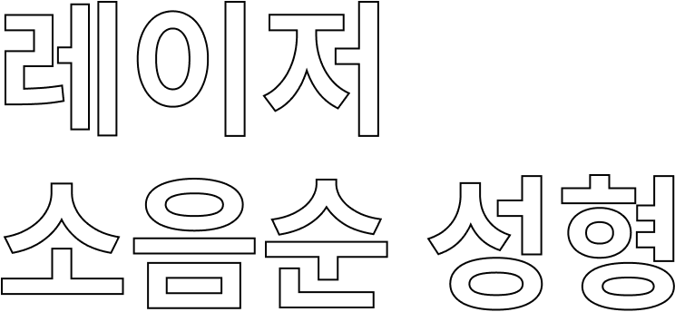 레이저 소음순 성형